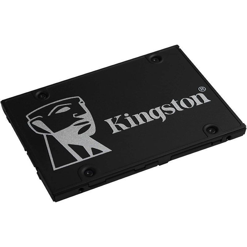 ECO-KIN-SSD SKC600 256G